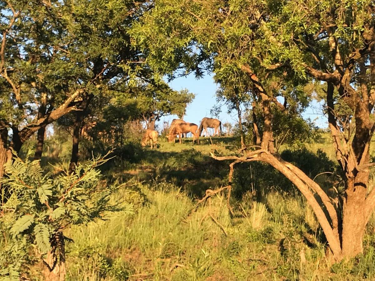 Olive Tree Farm Bed & Breakfast Magaliesburg Exterior foto