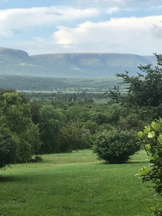 Olive Tree Farm Bed & Breakfast Magaliesburg Exterior foto