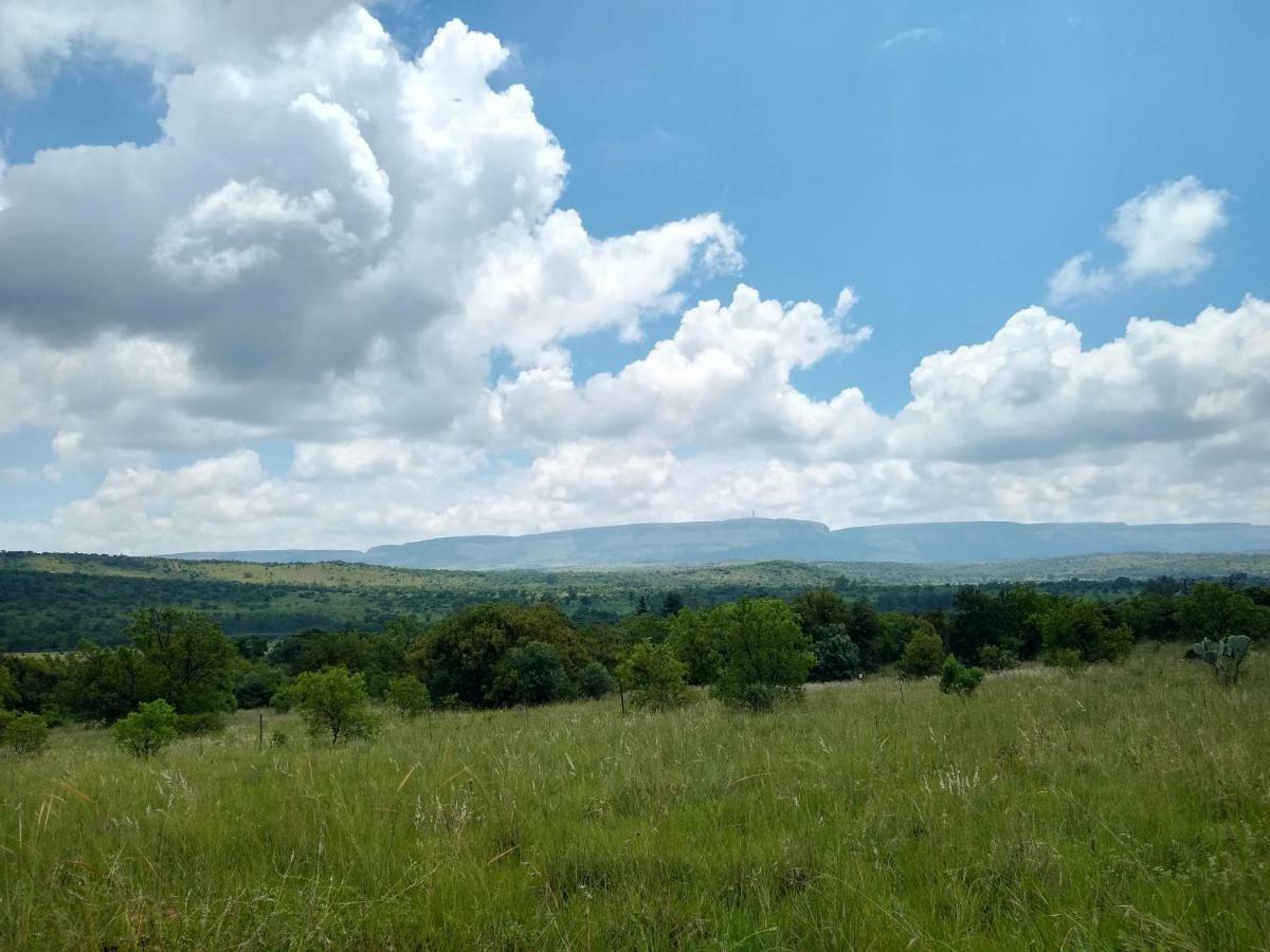 Olive Tree Farm Bed & Breakfast Magaliesburg Exterior foto