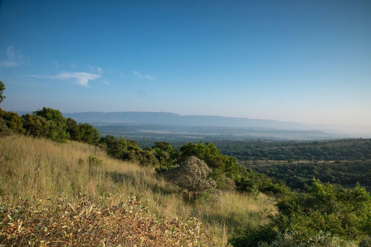 Olive Tree Farm Bed & Breakfast Magaliesburg Exterior foto