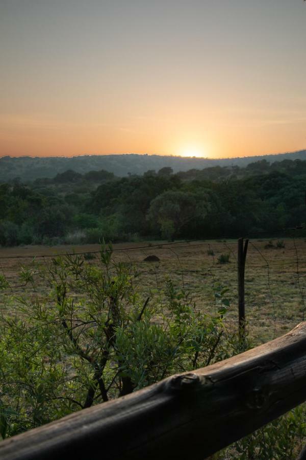 Olive Tree Farm Bed & Breakfast Magaliesburg Exterior foto
